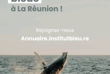 Lancement annuaire logo
