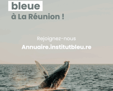 Lancement annuaire logo